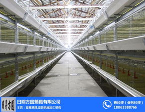 日昇方圆 筑梦现代化养殖，赋能畜牧新未来