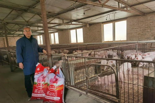 酵益达 生物发酵、低蛋白日粮与抗病营养的集大成者