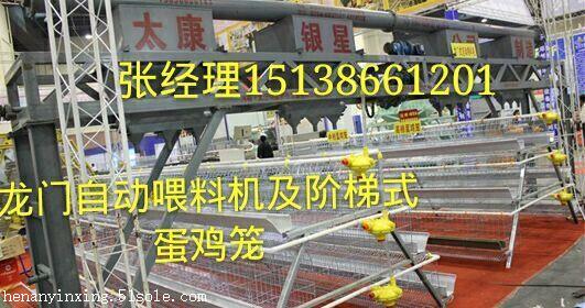 夏季河南鸡笼养鸡几大误区及畜禽养殖咨询服务指南