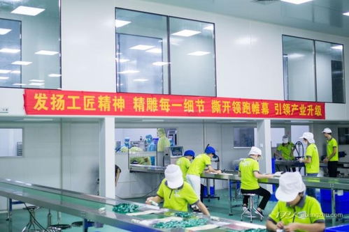 探秘植物医生工厂 废水养鱼背后的天然之道与养殖新思