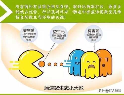今年首轮高温来袭 水产养殖户的紧急预防指南与畜养管理策略