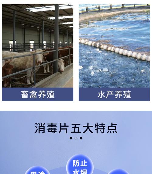 消毒片三氯异氰次氯酸游泳池84泡腾片家用学校幼儿园除臭 除味消毒