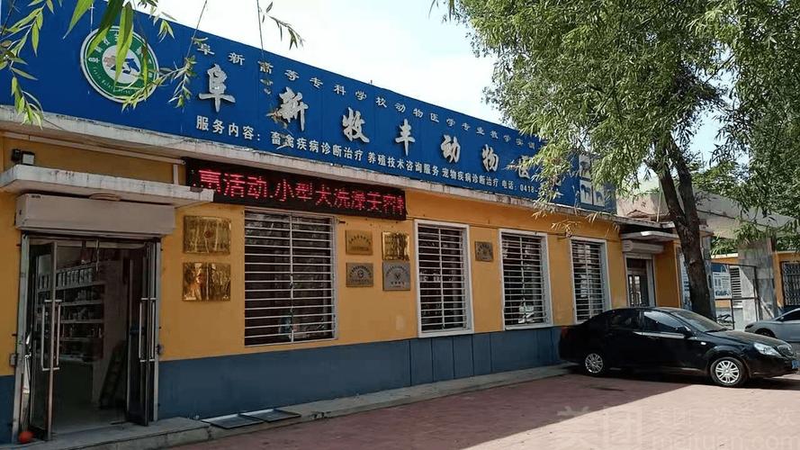阜新牧丰动物医院 专业畜禽养殖咨询服务的坚实后盾