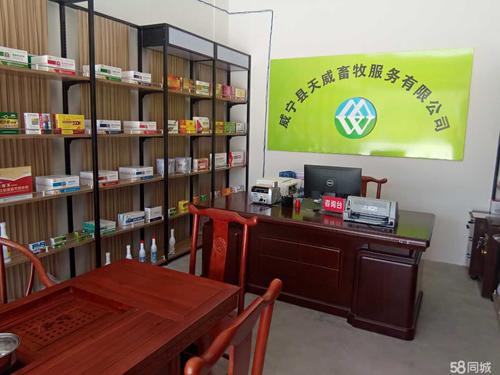 集团化畜牧企业服务闭环的优化路径