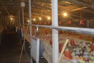自动养殖温控锅炉选购与咨询服务指南